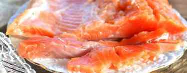 Севіче: рецепт з лосося, сьомги, тунця. Перуанська кухня