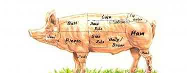 Дізнаємося як вибирати яловичину: рекомендації різних частин туші