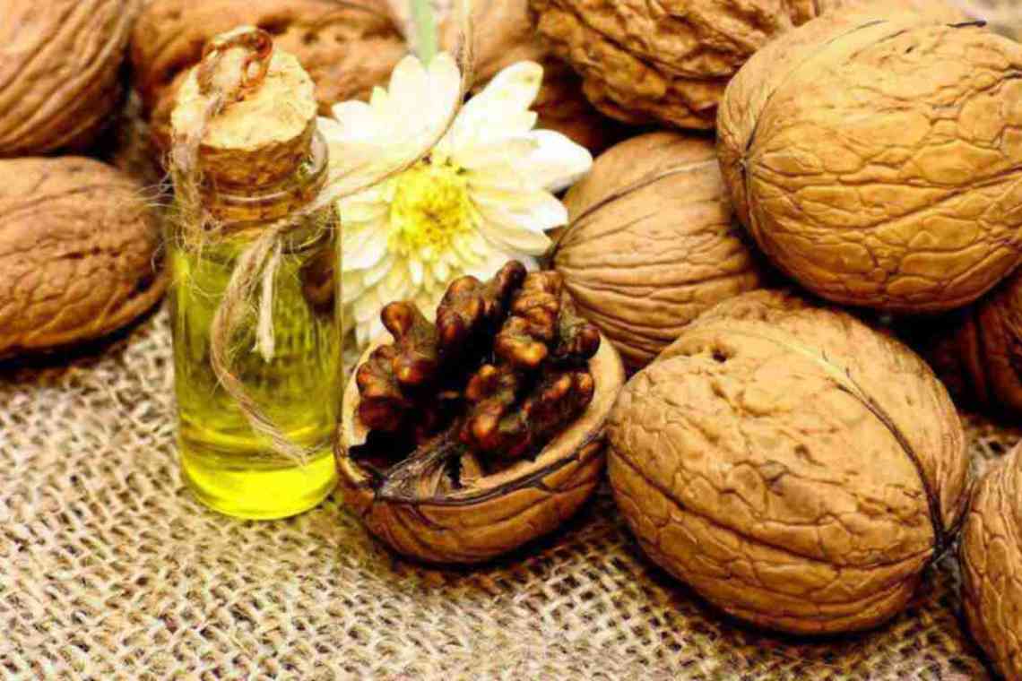 Індійські горіхи: короткий опис, калорійність, корисні властивості та шкода