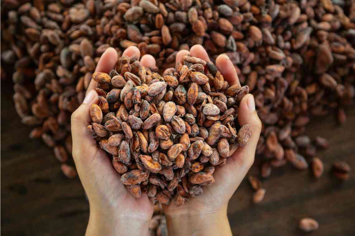 Боби какао: користь і використання. Какао-боби: фото