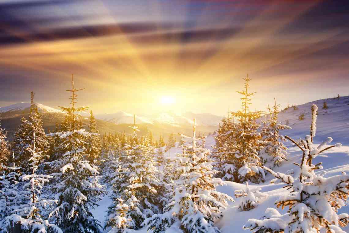 Лашеналія - зимове сонце
