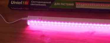 Правильна фітолампа - вибираємо освітлювальний прилад для досвітки рослин