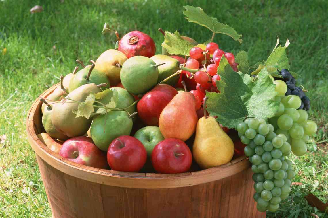 Чим удобрювати декоративні та плодові рослини в другій половині літа?