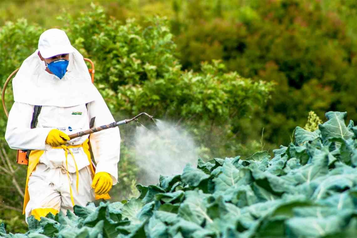 Основні помилки застосування пестицидів