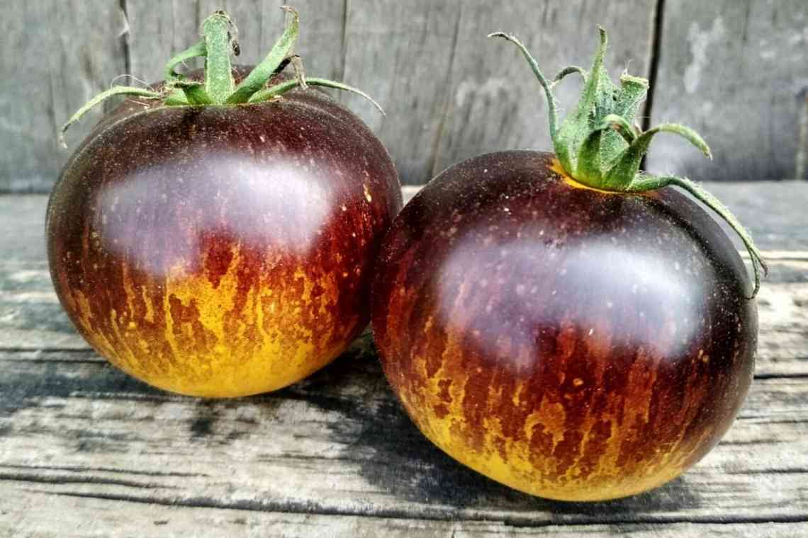 Різнокольорові томати
