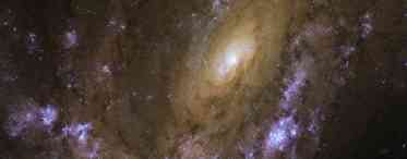 Телескоп «Хаббл» зробив приголомшливе фото однієї з найпотужніших зірок у нашій галактиці
