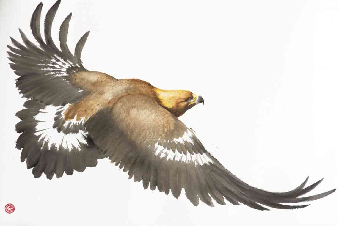 Орел: як буде правильно намалювати величну птицю