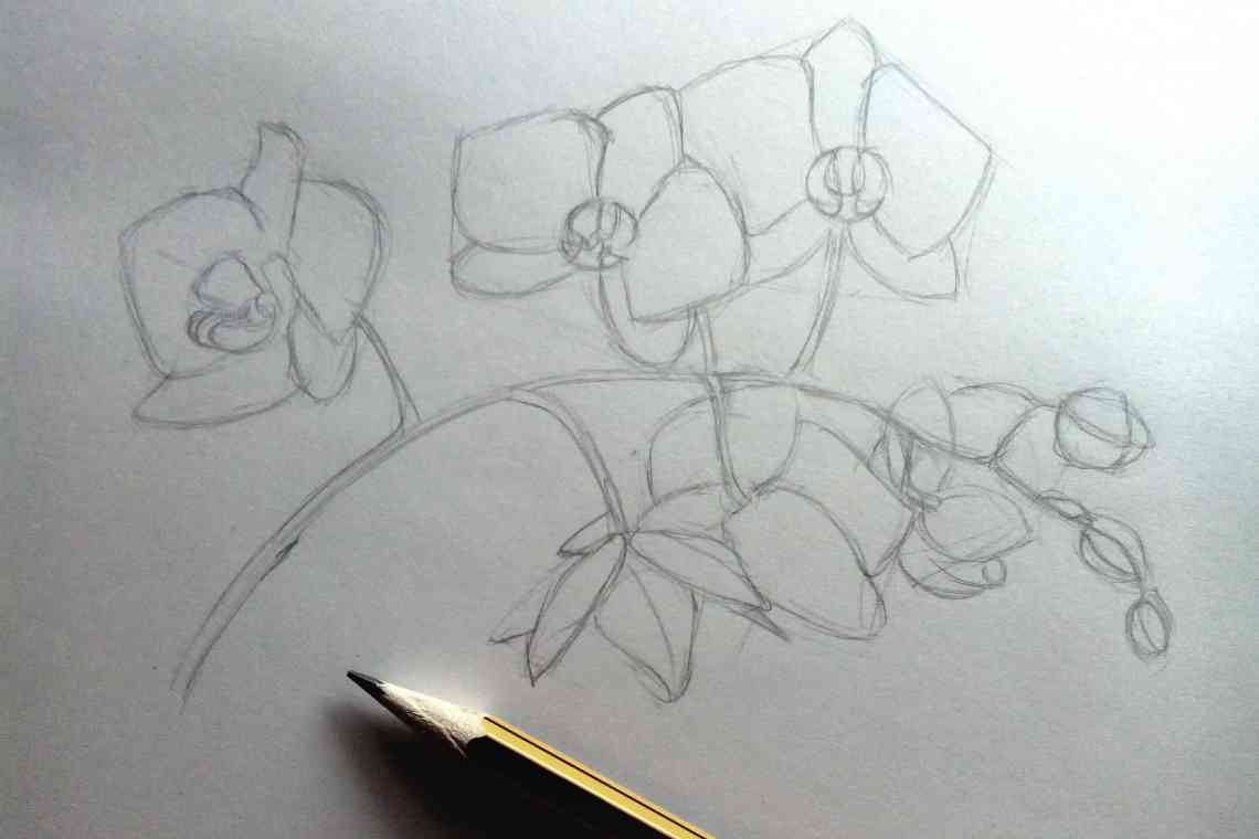 Дізнаємося як правильно намалювати аленьку квіточку: поетапний урок малювання