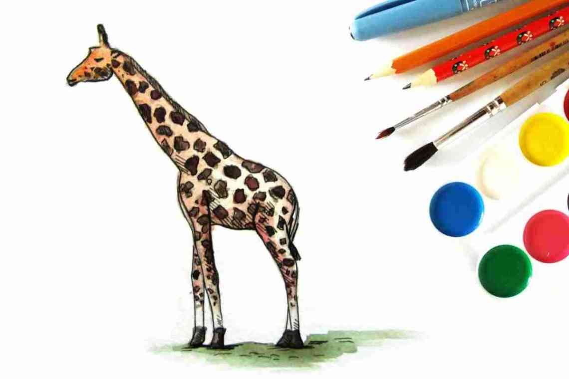 Плями і ріжки, або як буде правильно намалювати жирафа