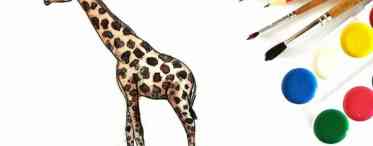 Плями і ріжки, або як буде правильно намалювати жирафа