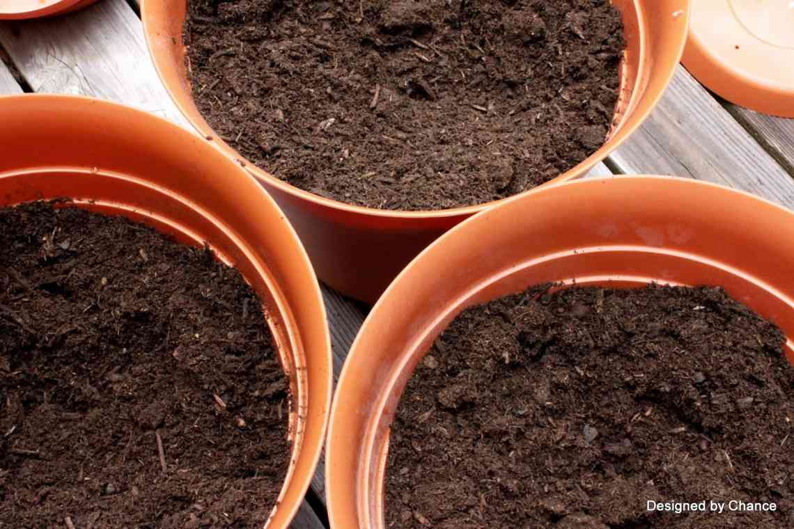 Легкий і пухкий ґрунт з тирсою для розсади томатів - особливості приготування будинку