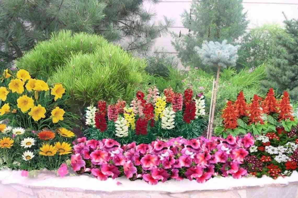 10 критеріїв підбору рослин для декоративних композицій