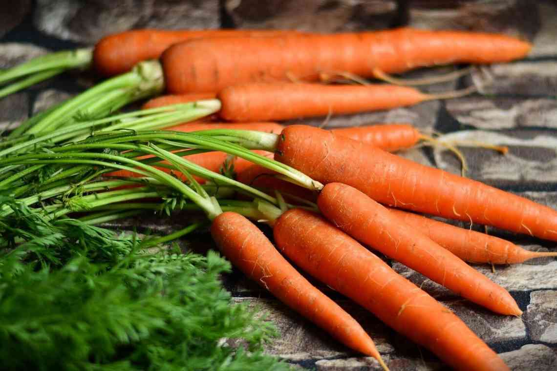Варена морква - користь і шкода солодкого коренеплоду
