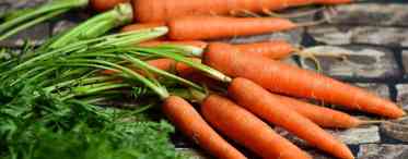 Варена морква - користь і шкода солодкого коренеплоду