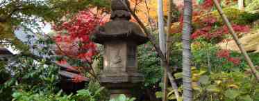 12 секретів автентичності для куточка в дусі японського саду