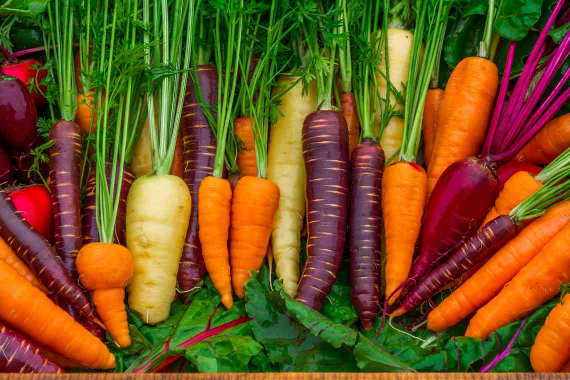 Які вітаміни в моркві і чим вона корисна