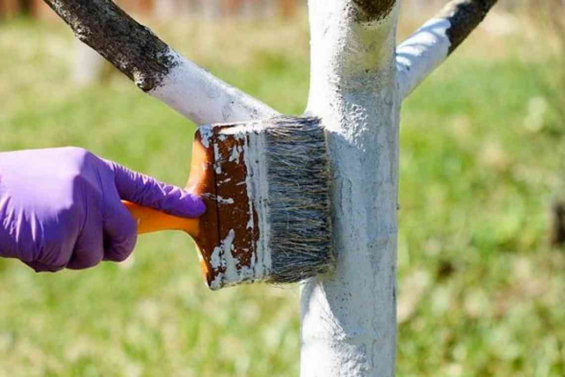 Як боротися з короїдом на деревах: рятуємо сад від загибелі