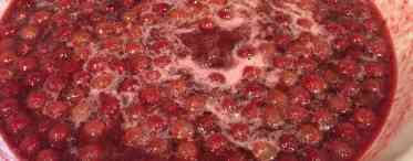 Заготуйте варення з червоної горобини - користь і шкода дивовижного ласощів