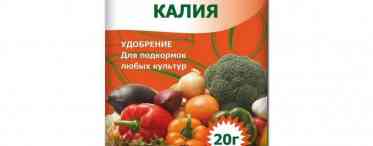 Фосфорні добрива для томатів: види, назви, застосування
