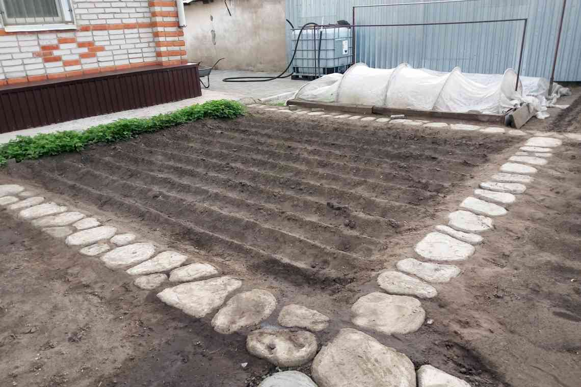 Доріжки в городі між грядками: з чого зробити