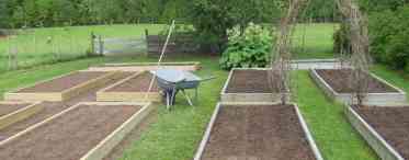 Як зробити грядки на городі без дощок?