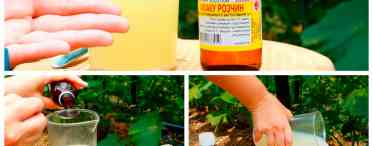 Отруєння для мурахів з борної кислоти: рецепти смертельного частування