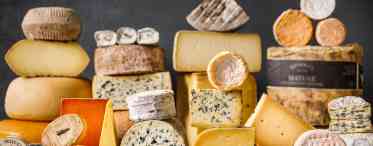 Сир твердих сортів: класифікація, виробництво та корисний вплив на організм