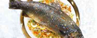 Дикий лосось: короткий опис, особливості, властивості та рецепти приготування