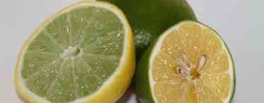 Зелений лимон від лайму чим відрізняється? Відмінності і схожість
