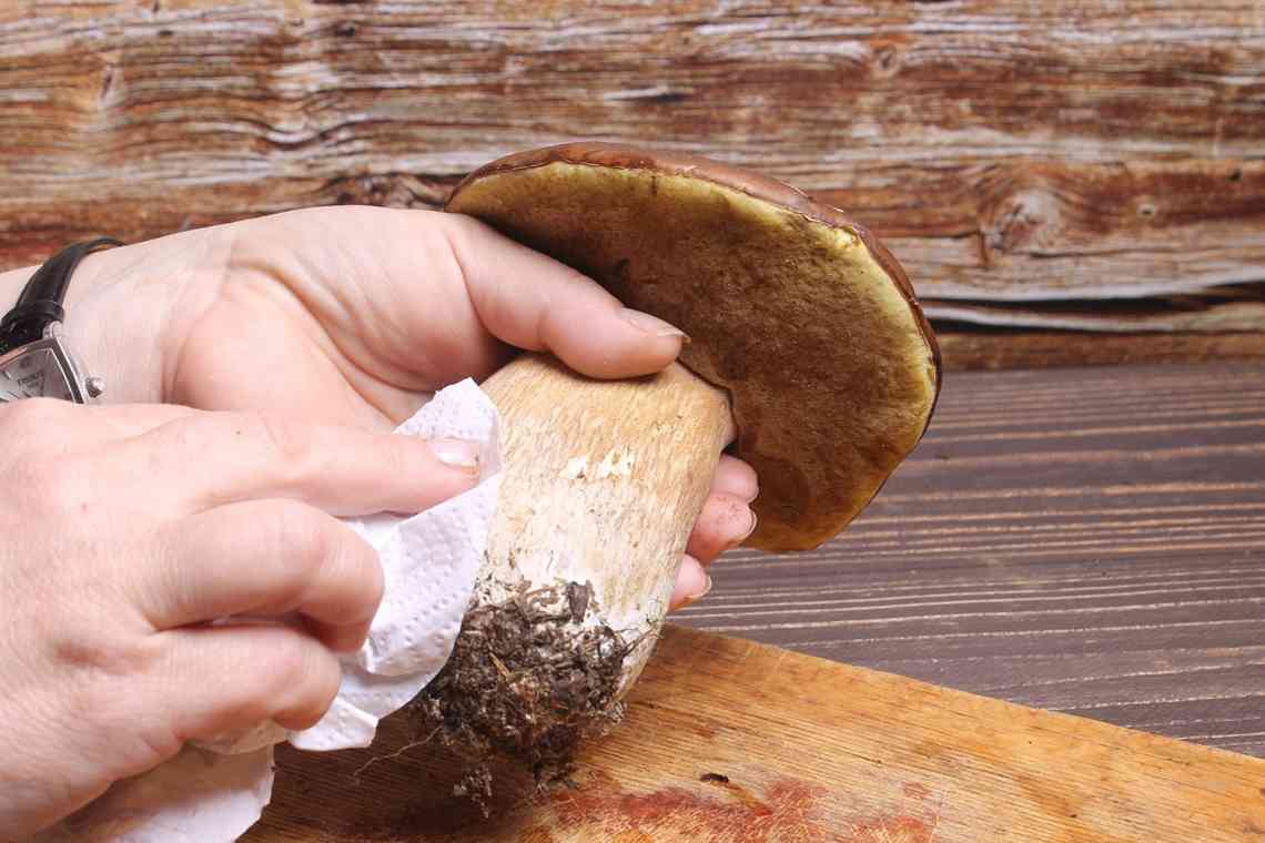 Дізнаємося як обробляти гриби? Дізнаємося як буде правильно обробити свіжі гриби