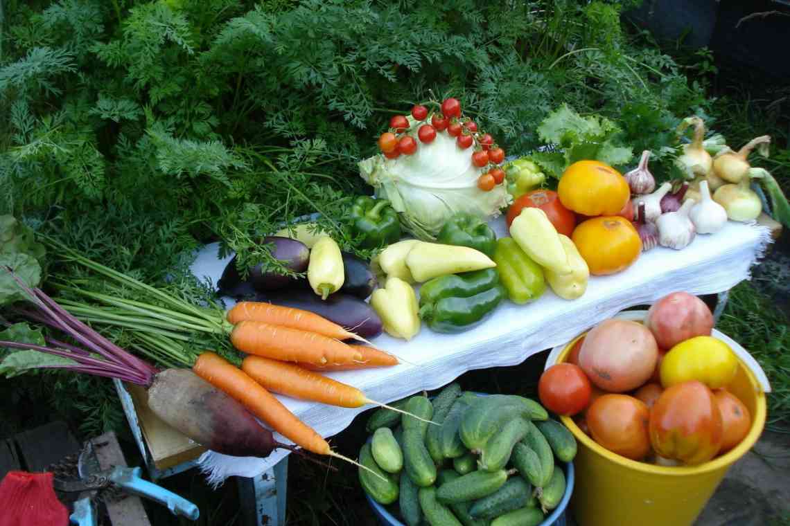 Дачні знахарі: чотири овочі, які борються з простудними захворюваннями