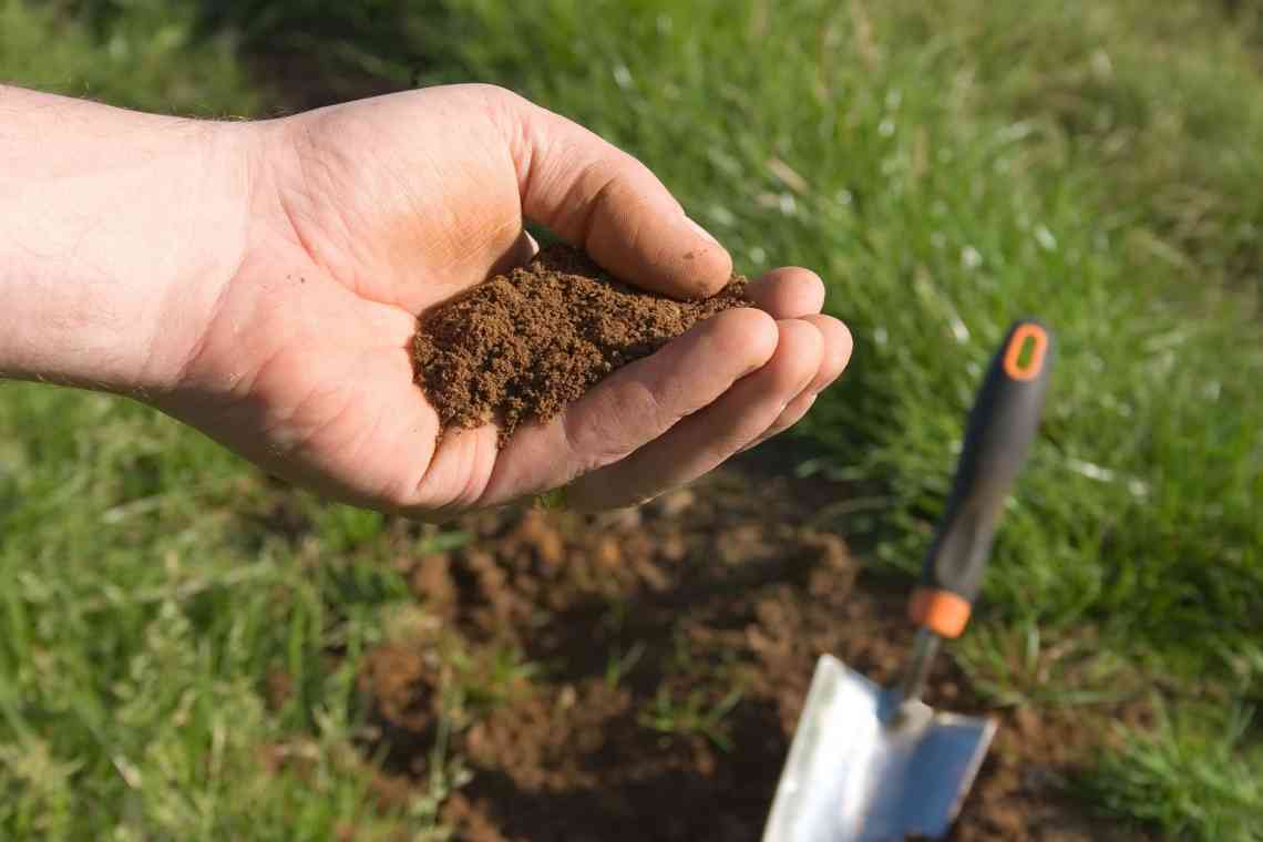 Як визначити кислотність ґрунту