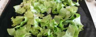 Як правильно зберігати листя салату