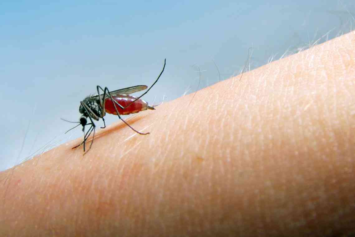 Свербіж після укусів комарів: як впоратися?