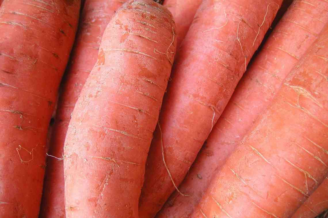 Як правильно зберігати моркву. Частина 3