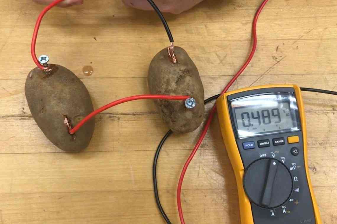 Як отримати електрику з картоплі
