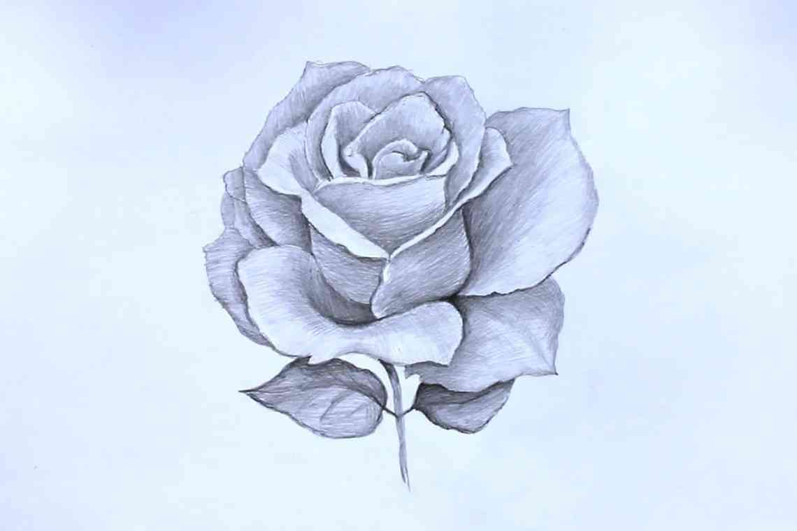 Як намалювати троянду?