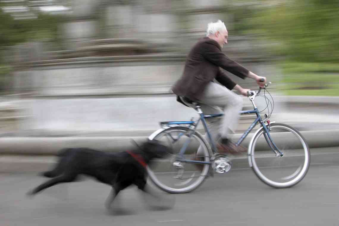 «Як захиститися, якщо велосипедиста переслідує собака»