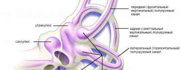 Як розвинути вестибулярний апарат