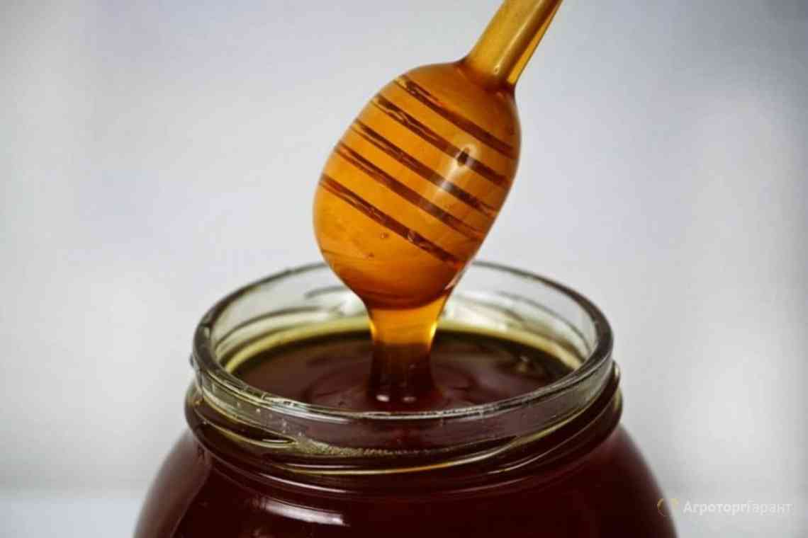 Мед і його корисні властивості