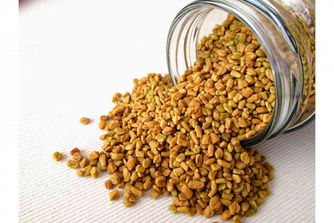 Семена Хельби для схуднення: як приймати єгипетський жовтий чай?