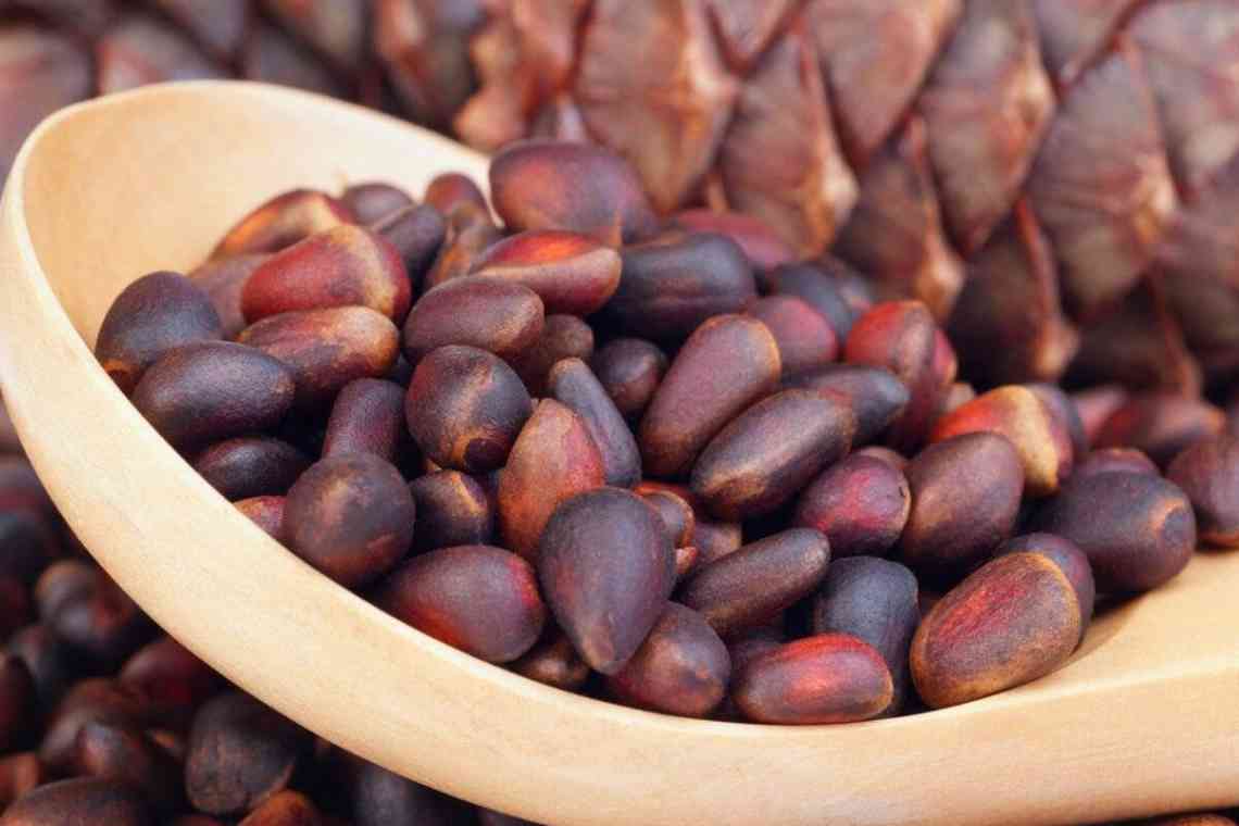 Декілька корисних властивостей кедрових горіхів