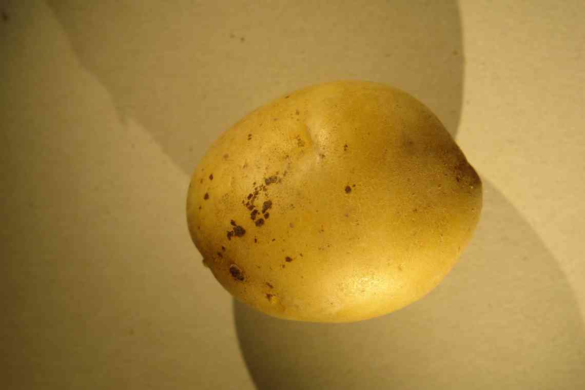 Різоктоніоз картоплі