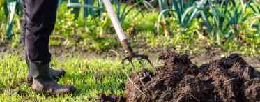 Міфи про органічне садівництво