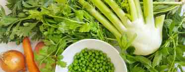 Салатний цикорій - це зелень і взимку, і влітку