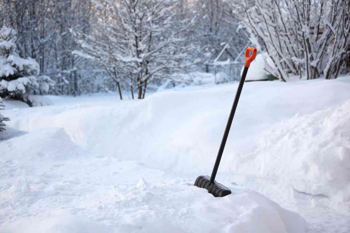 Способи снігозатримання та збереження снігу в саду
