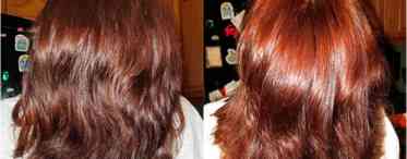 Корисні властивості та лікування кольорового та безбарвного хну для волосся