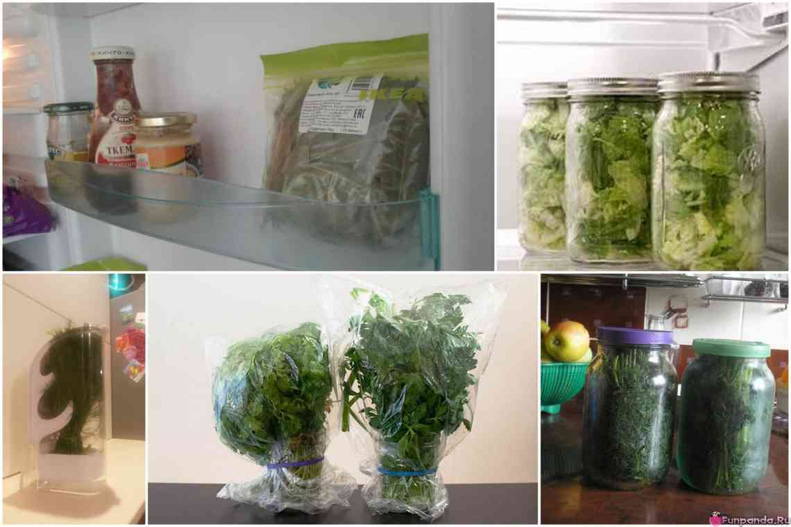 Як правильно зберігати зелень у холодильнику