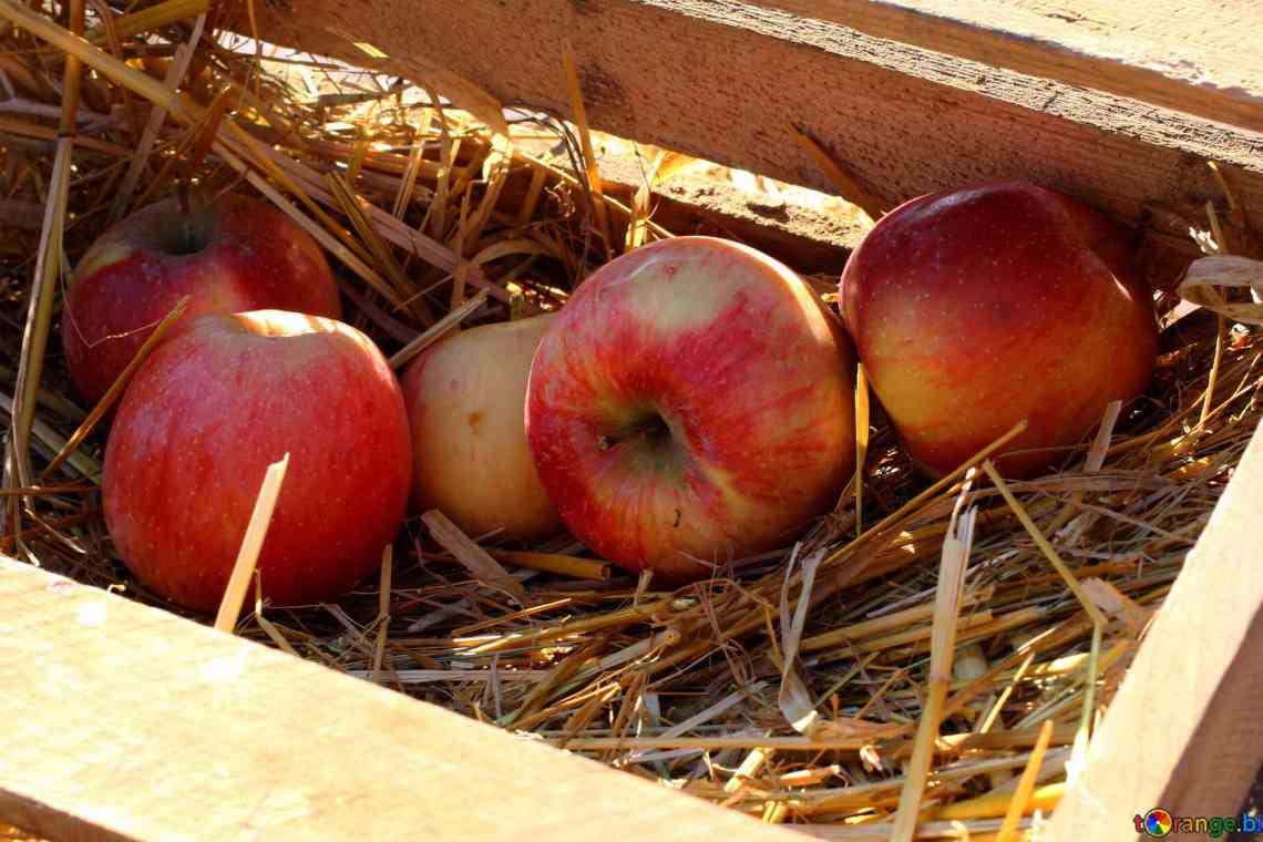 Зберігання яблук у домашніх умовах - дуже потрібна справа