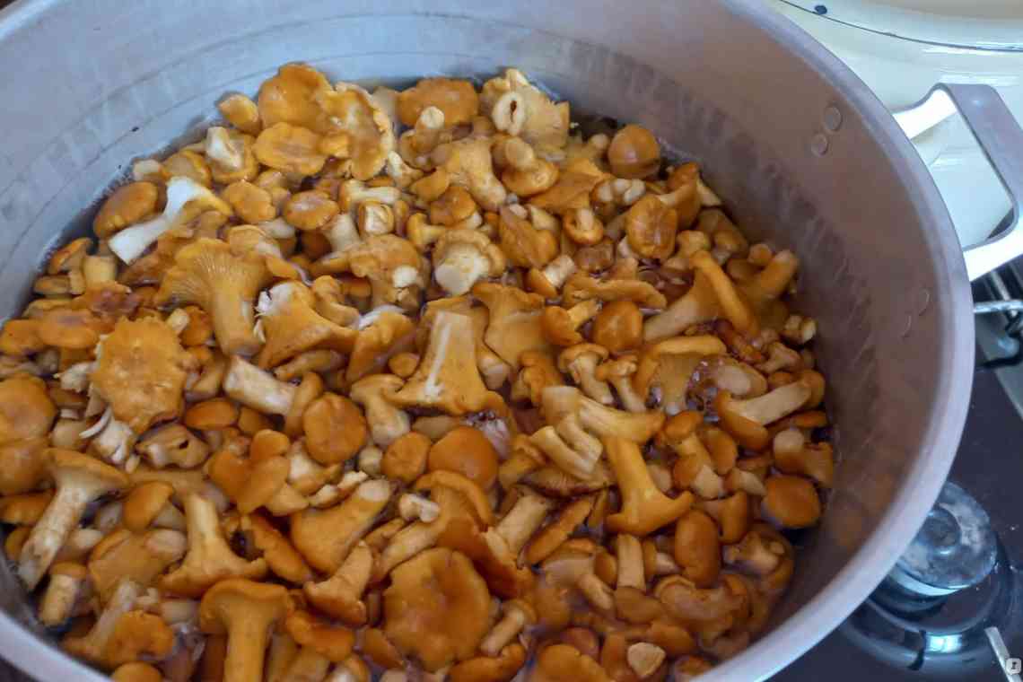 Дізнаємося що робити з грибами лисичками? Нескладні рецепти приготування